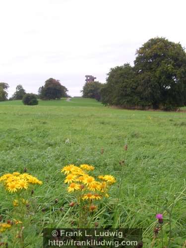 Lough Key Forest Park